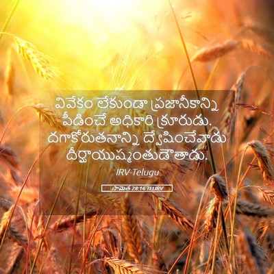 Picture 05 - సామెత 28:16 TELIRV - వివేకం లేకుండా - Bible Verse Picture