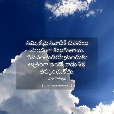 Picture 05 - సామెత 28:20 TELIRV - నమ్మకమైనవాడికి - Bible Verse Picture