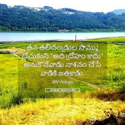 Picture 05 - సామెత 28:24 TELIRV - తన తలిదండ్రుల - Bible Verse Picture