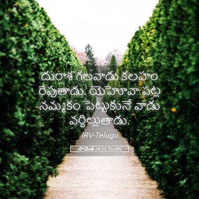 Picture 05 - సామెత 28:25 TELIRV - దురాశ గలవాడు కలహం - Bible Verse Picture