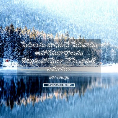 Picture 05 - సామెత 28:3 TELIRV - పేదలను బాధించే - Bible Verse Picture