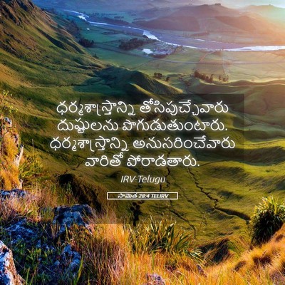 Picture 05 - సామెత 28:4 TELIRV - ధర్మశాస్త్రాన్ని - Bible Verse Picture