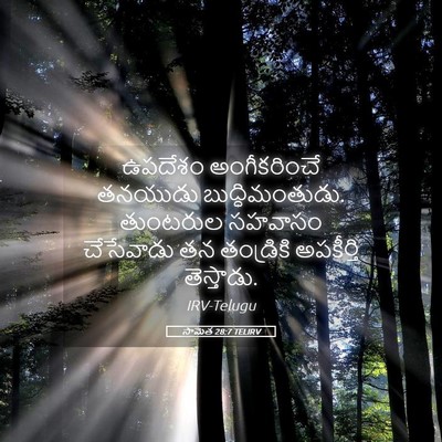 Picture 05 - సామెత 28:7 TELIRV - ఉపదేశం అంగీకరించే - Bible Verse Picture