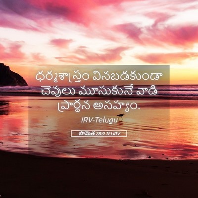Picture 05 - సామెత 28:9 TELIRV - ధర్మశాస్త్రం - Bible Verse Picture