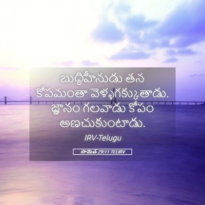 Picture 05 - సామెత 29:11 TELIRV - బుద్ధిహీనుడు తన - Bible Verse Picture