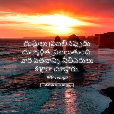 Picture 05 - సామెత 29:16 TELIRV - దుష్టులు - Bible Verse Picture