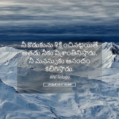 Picture 05 - సామెత 29:17 TELIRV - నీ కొడుకును - Bible Verse Picture
