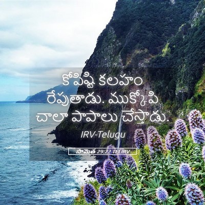Picture 05 - సామెత 29:22 TELIRV - కోపిష్టి కలహం - Bible Verse Picture