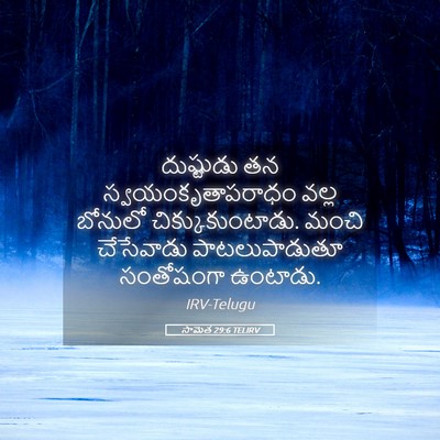 Picture 05 - సామెత 29:6 TELIRV - దుష్టుడు తన - Bible Verse Picture