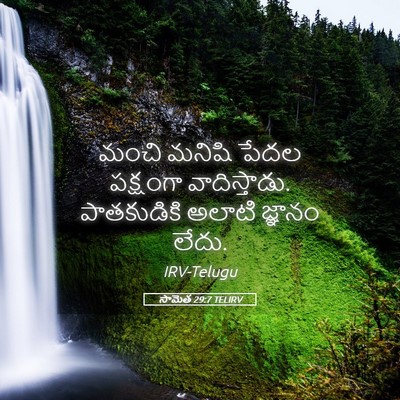 Picture 05 - సామెత 29:7 TELIRV - మంచి మనిషి పేదల - Bible Verse Picture
