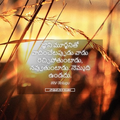 Picture 05 - సామెత 29:9 TELIRV - జ్ఞాని మూర్ఖనితో - Bible Verse Picture