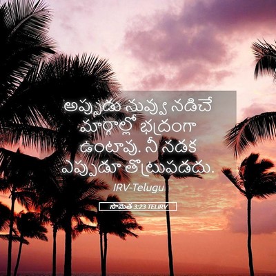 Picture 05 - సామెత 3:23 TELIRV - అప్పుడు నువ్వు - Bible Verse Picture