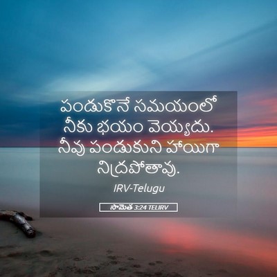 Picture 05 - సామెత 3:24 TELIRV - పండుకొనే సమయంలో - Bible Verse Picture