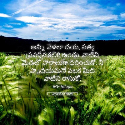 Picture 05 - సామెత 3:3 TELIRV - అన్ని వేళలా దయ, - Bible Verse Picture