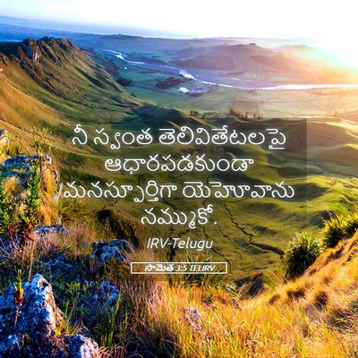 Picture 05 - సామెత 3:5 TELIRV - నీ స్వంత - Bible Verse Picture