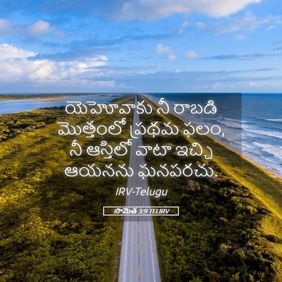Picture 05 - సామెత 3:9 TELIRV - యెహోవాకు నీ రాబడి - Bible Verse Picture