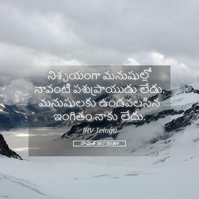 Picture 05 - సామెత 30:2 TELIRV - నిశ్చయంగా - Bible Verse Picture