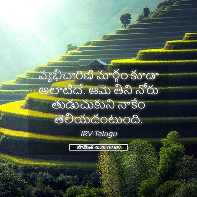 Picture 05 - సామెత 30:20 TELIRV - వ్యభిచారిణి - Bible Verse Picture