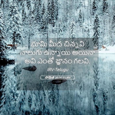 Picture 05 - సామెత 30:24 TELIRV - భూమి మీద చిన్నవి - Bible Verse Picture