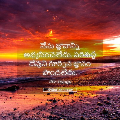 Picture 05 - సామెత 30:3 TELIRV - నేను జ్ఞానాన్ని - Bible Verse Picture