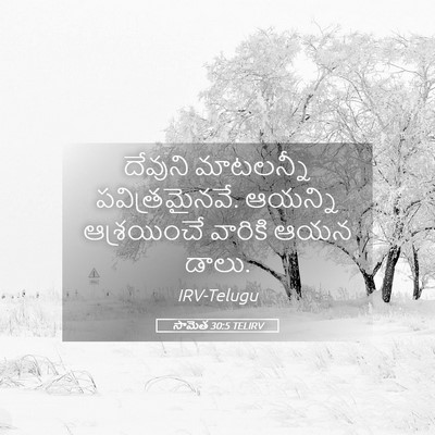 Picture 05 - సామెత 30:5 TELIRV - దేవుని మాటలన్నీ - Bible Verse Picture