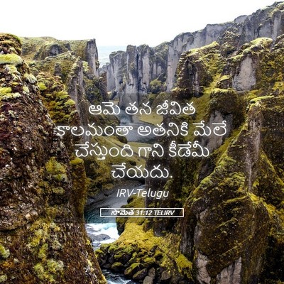 Picture 05 - సామెత 31:12 TELIRV - ఆమె తన జీవిత - Bible Verse Picture
