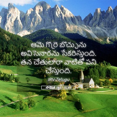 Picture 05 - సామెత 31:13 TELIRV - ఆమె గొర్రె - Bible Verse Picture
