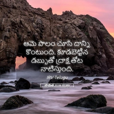 Picture 05 - సామెత 31:16 TELIRV - ఆమె పొలం చూసి - Bible Verse Picture