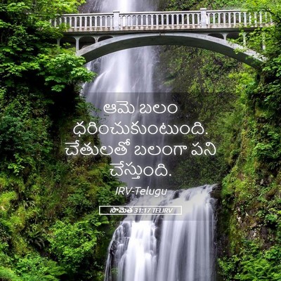 Picture 05 - సామెత 31:17 TELIRV - ఆమె బలం - Bible Verse Picture