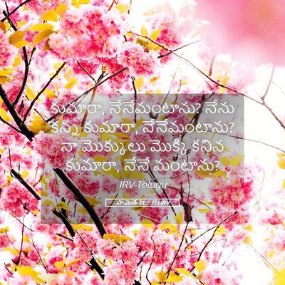 Picture 05 - సామెత 31:2 TELIRV - కుమారా, - Bible Verse Picture