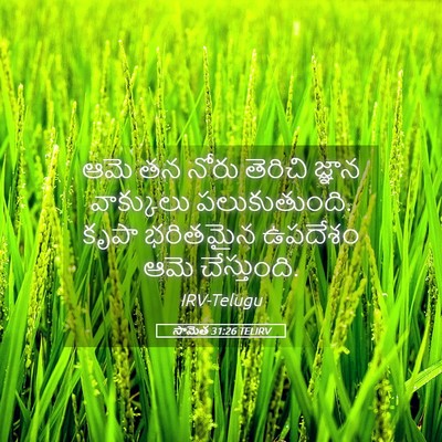 Picture 05 - సామెత 31:26 TELIRV - ఆమె తన నోరు తెరిచి - Bible Verse Picture