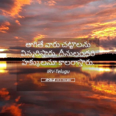 Picture 05 - సామెత 31:5 TELIRV - తాగితే వారు - Bible Verse Picture