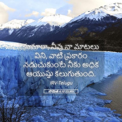 Picture 05 - సామెత 4:10 TELIRV - కుమారా, నీవు నా - Bible Verse Picture