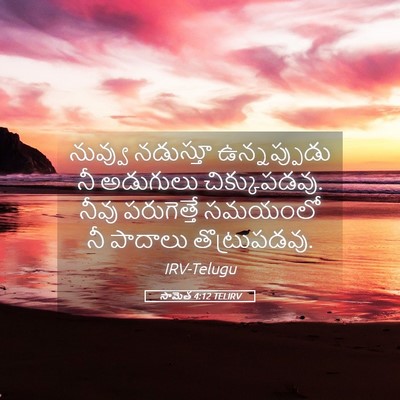 Picture 05 - సామెత 4:12 TELIRV - నువ్వు నడుస్తూ - Bible Verse Picture