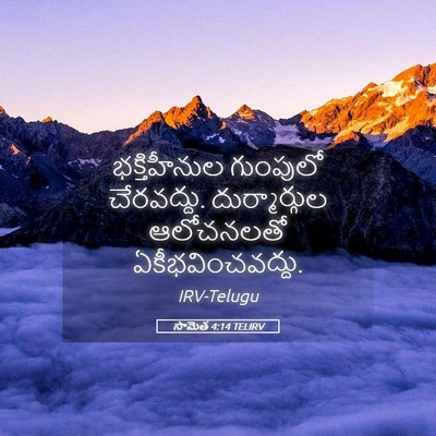 Picture 05 - సామెత 4:14 TELIRV - భక్తిహీనుల - Bible Verse Picture