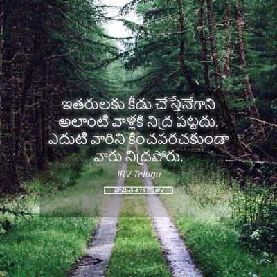 Picture 05 - సామెత 4:16 TELIRV - ఇతరులకు కీడు - Bible Verse Picture