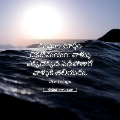 Picture 05 - సామెత 4:19 TELIRV - దుష్టుల మార్గం - Bible Verse Picture