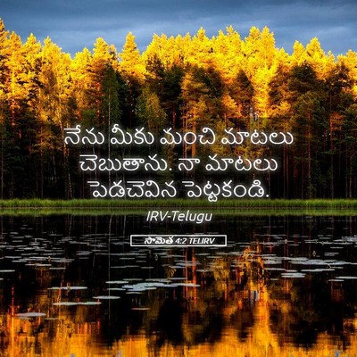 Picture 05 - సామెత 4:2 TELIRV - నేను మీకు మంచి - Bible Verse Picture