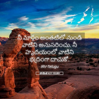 Picture 05 - సామెత 4:21 TELIRV - నీ మార్గం అంతటిలో - Bible Verse Picture