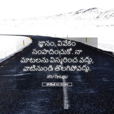 Picture 05 - సామెత 4:5 TELIRV - జ్ఞానం, వివేకం - Bible Verse Picture
