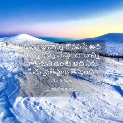 Picture 05 - సామెత 4:8 TELIRV - నువ్వు జ్ఞానాన్ని - Bible Verse Picture