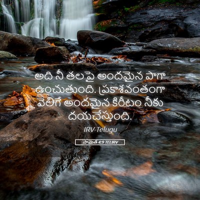 Picture 05 - సామెత 4:9 TELIRV - అది నీ తలపై అందమైన - Bible Verse Picture