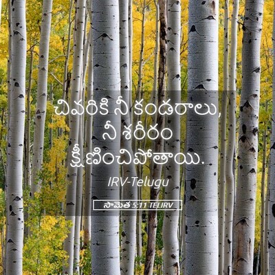 Picture 05 - సామెత 5:11 TELIRV - చివరికి నీ - Bible Verse Picture