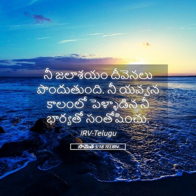 Picture 05 - సామెత 5:18 TELIRV - నీ జలాశయం దీవెనలు - Bible Verse Picture