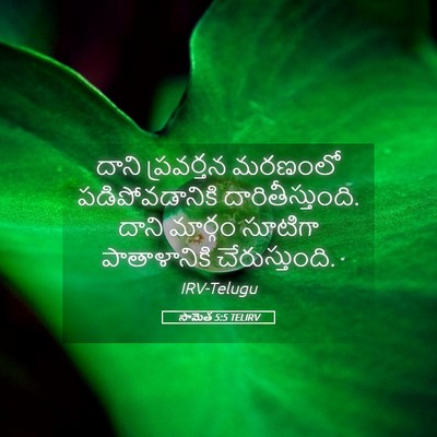 Picture 05 - సామెత 5:5 TELIRV - దాని ప్రవర్తన - Bible Verse Picture