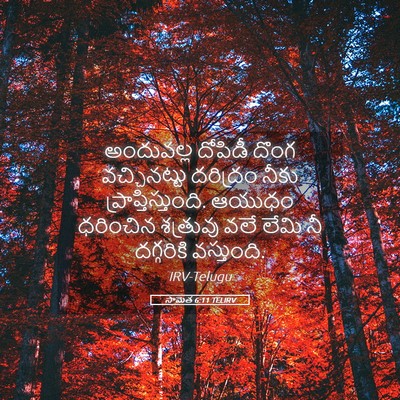 Picture 05 - సామెత 6:11 TELIRV - అందువల్ల దోపిడీ - Bible Verse Picture