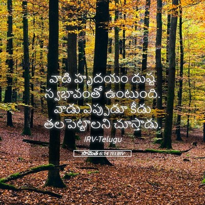 Picture 05 - సామెత 6:14 TELIRV - వాడి హృదయం దుష్ట - Bible Verse Picture