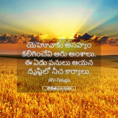 Picture 05 - సామెత 6:16 TELIRV - యెహోవాకు అసహ్యం - Bible Verse Picture