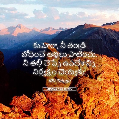 Picture 05 - సామెత 6:20 TELIRV - కుమారా, నీ తండ్రి - Bible Verse Picture