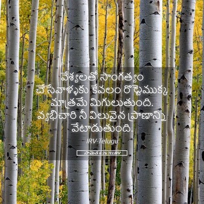 Picture 05 - సామెత 6:26 TELIRV - వేశ్యలతో సాంగత్యం - Bible Verse Picture